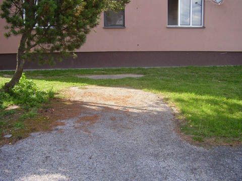Foto 61